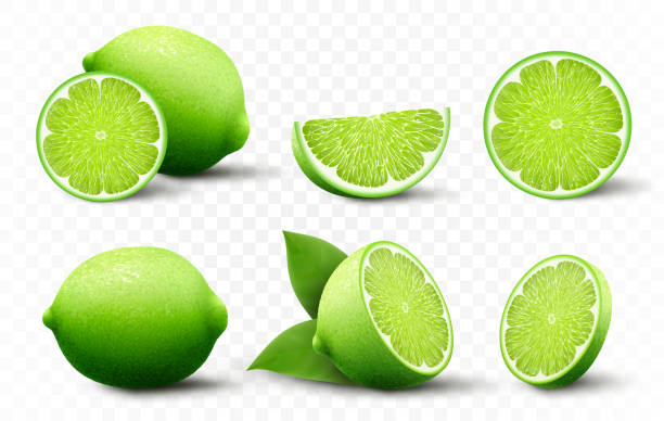 illustrations, cliparts, dessins animés et icônes de set de citron vert frais. fruits de lime entiers, coupés à moitié coupés isolés sur fond transparent. les agrumes d’été pour un mode de vie sain. fruits biologiques. illustration vectorielle 3d réaliste pour n’importe quel design. - lime fruit citrus fruit portion