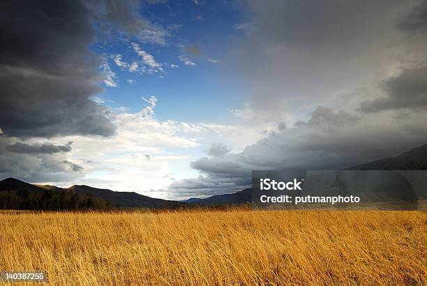 Photo libre de droit de Ciel Orageux banque d'images et plus d'images libres de droit de Agriculture - Agriculture, Appalaches, Automne