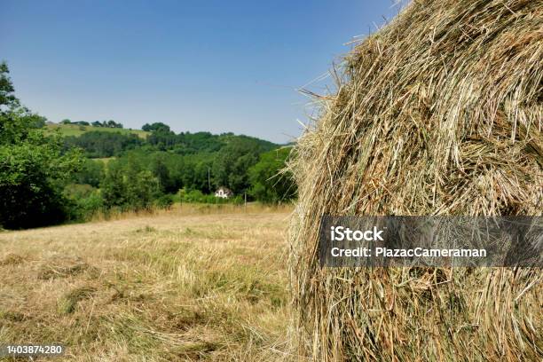 View From A Hay Bale Stock Photo - Download Image Now - Hay Baler, Agricultural Machinery, Agriculture