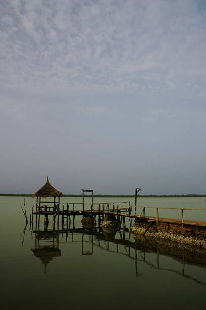 Jetty on the River Gambia stock photo