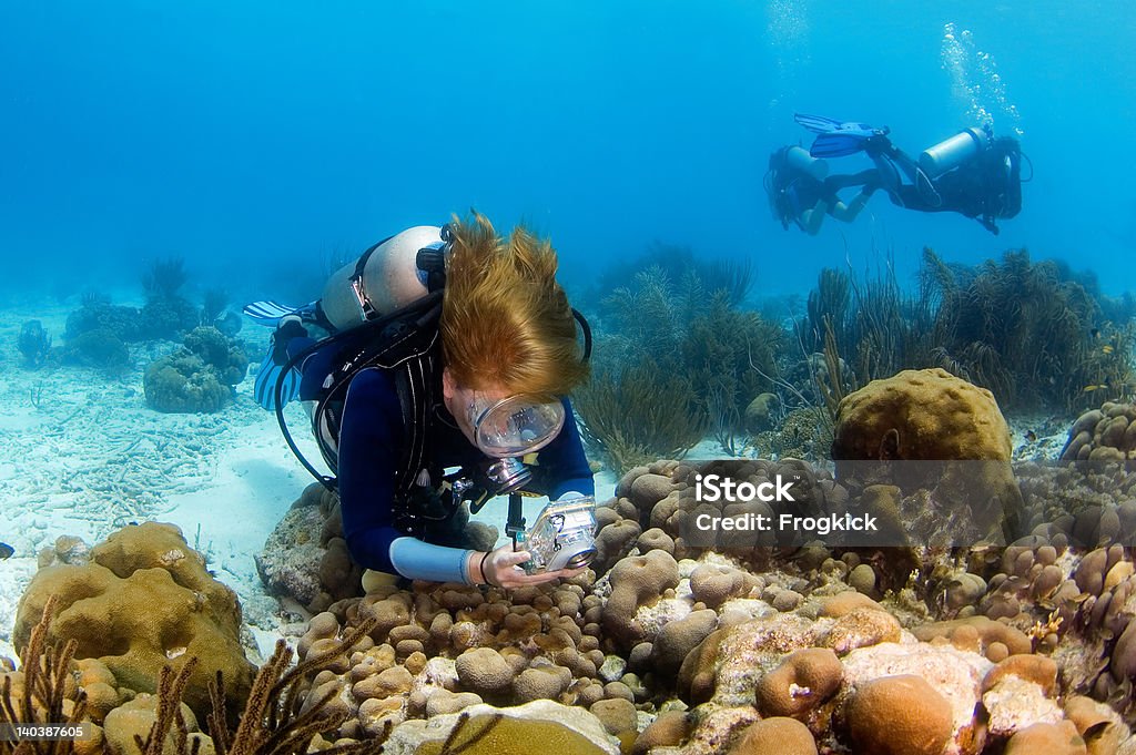 Женщина diver Фотографировать на риф - Стоковые фото Дайвинг с аквалангом роялти-фри