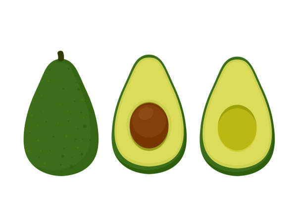 ilustraciones, imágenes clip art, dibujos animados e iconos de stock de aguacate. juego de aguacate fresco entero y medio aguacate. alimentos frescos y saludables. ilustración vectorial. - guacamole avocado cutting white background