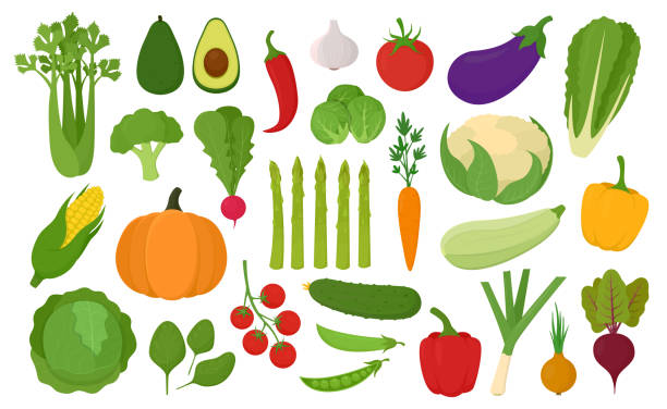 ilustraciones, imágenes clip art, dibujos animados e iconos de stock de conjunto de iconos de verduras. colección de verduras frescas y deliciosas. alimentación saludable. ilustración vectorial de productos vegetarianos. - asparagus