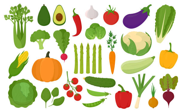 Vegetables icon set. Collection of fresh delicious vegetables. Healthy food. Vector illustration of vegetarian products. Vegetables icon set. Collection of fresh delicious vegetables isolated on white background. Healthy food. Vector illustration of vegetarian products. carrot symbol food broccoli stock illustrations