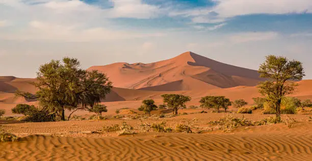 Landscape view of the dunes at Sossusvlei