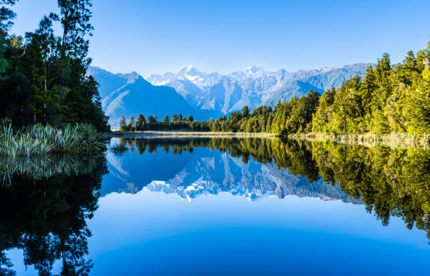 istock Perfect reflection in Lake Matheson surrounded by beautiful natural forest under blue sky 1403879840