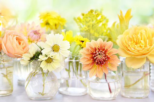 Delicate blooming light yellow and orange flowers in bottles, summer blossoming floral festive background, bouquets floral card, selective focus, shallow DOF