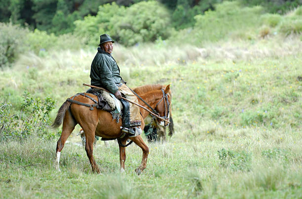 Bariloche, Patagonia, Argentina - March 20, 2008: A group of people are riding horse in Patagonia. This is a popular excursion for tourists in Patagonia.