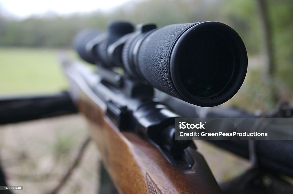 Deer soporte 2 - Foto de stock de Mira de rifle libre de derechos