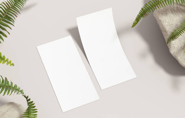 istock Two DL flyer mockup blank organic paper for design presentation. White empty brochure template with plants on a neutral background in 3D illustration 1403895179