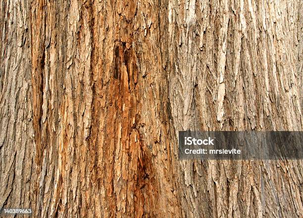 Tree Bark Фоне — стоковые фотографии и другие картинки Без людей - Без людей, В ряд, Горизонтальный