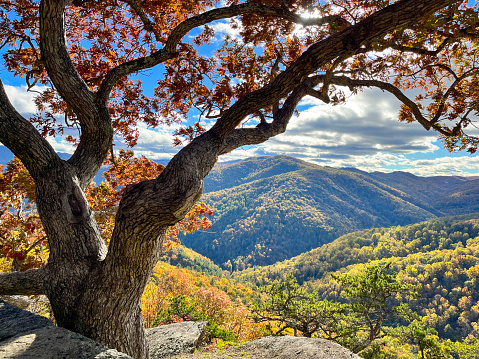 The untamed beauty of the wilderness reveals itself, showcasing wooded mountains against a backdrop of rocks in the foreground along the Big Schloss via Wolf Gap Trail, marking the border between West Virginia and Virginia. This captivating vista captures the rugged charm of the mountains amidst this trail's scenic landscape.