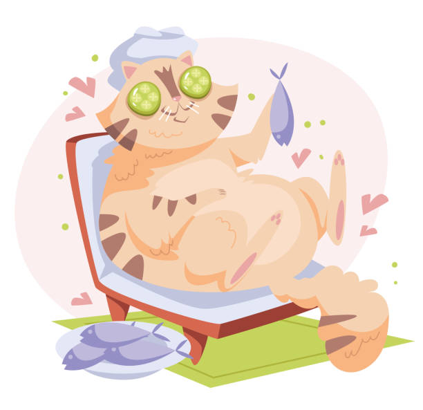 istock Happy smiling cute cat character relaxing in spa grooming salon composition. Vector flat cartoon graphic design illustration 1403906427