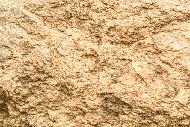 Macrophotography of textured stone in nature.