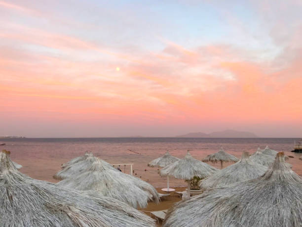 beautiful view of sunny egypt in sharm el sheikh