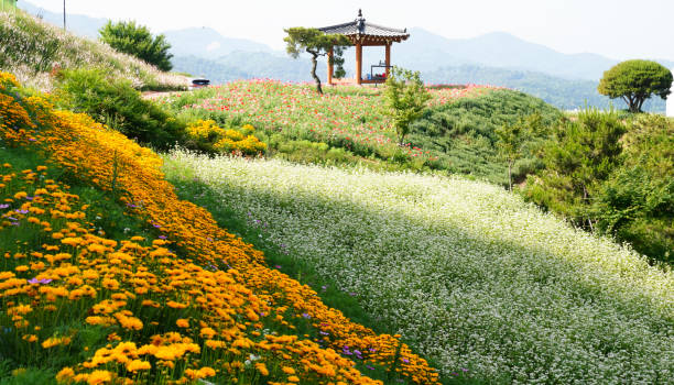 istock Beautiful spring flower garden with pavilion. 1403917406