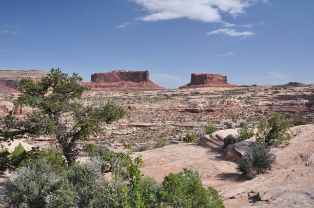 istock Monitor and Merrimac Buttes 1403920129
