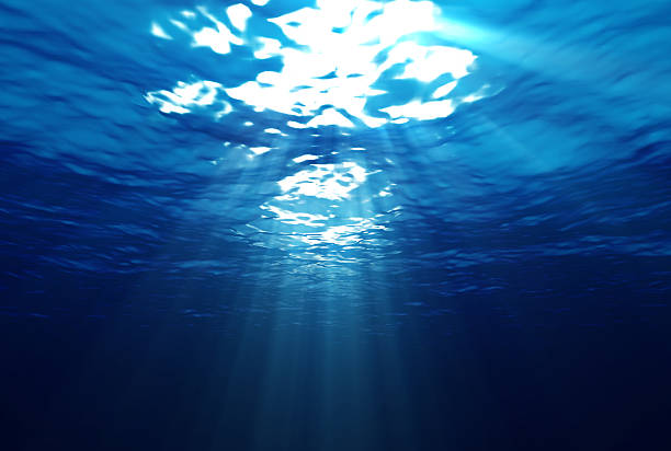 istock Beautiful underwater scene with sunrays shining through the water's surface 140392309