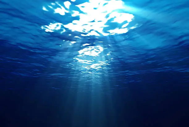 An underwater scene with sunrays shining through the water's glittering and moving surface.