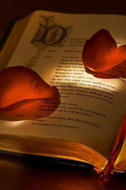 Photo of Valentine's book