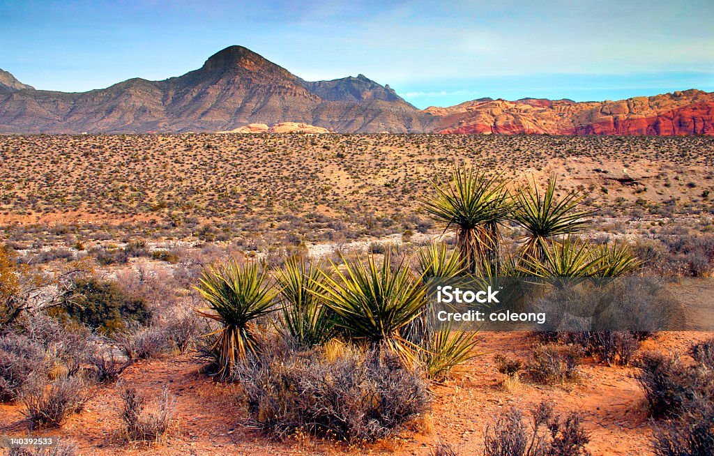 Red Rock Canyon, Nevada - Royalty-free Deserto de Mojave Foto de stock