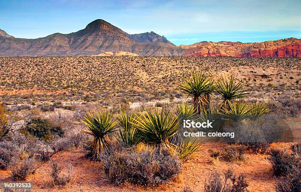Red Rock Canyon Nevada - Fotografias de stock e mais imagens de Deserto de Mojave - Deserto de Mojave, Yucca de Mojave, Amanhecer