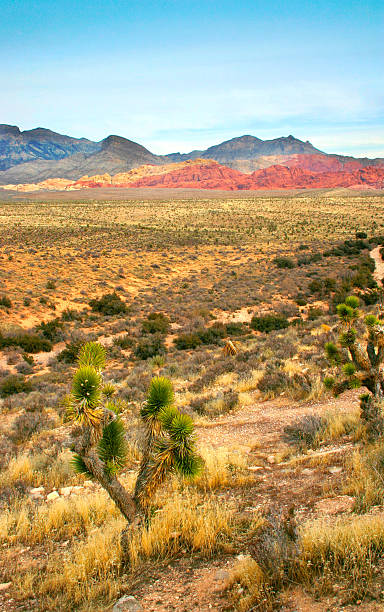istock Red Rock Canyon, Nevada 140392534