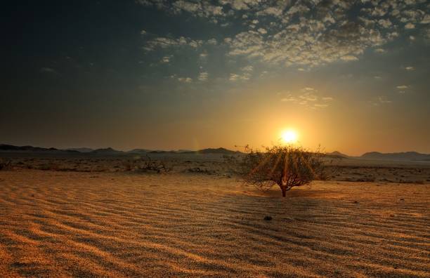 istock Empty desert against the backdrop of a passing sunset 1403928689