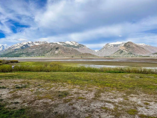 The majestic Grand Teton mountains