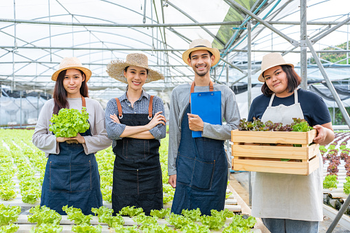 Portrait Group of Asian farmers worker in vegetables hydroponic farm.Attractive agriculturist young man and women standing and looking at camera with smiling and confident at green house farm together