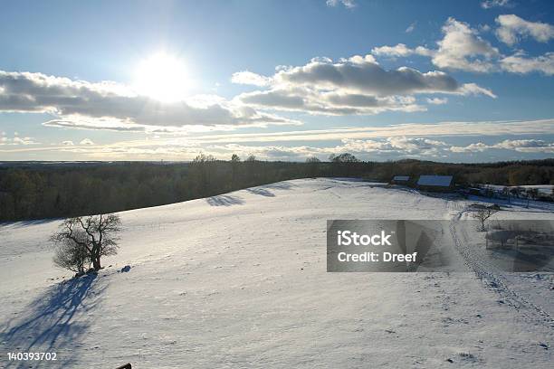 Escena De Invierno Foto de stock y más banco de imágenes de Agricultura - Agricultura, Aire libre, Arena