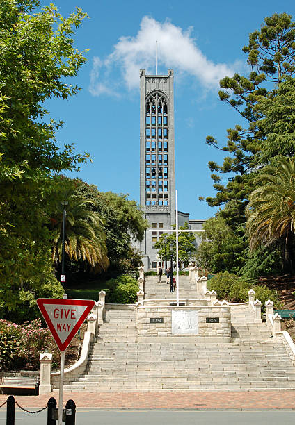 Tower structure in the middle of two trees with tall steps Nelson Cathedral, New Zealand christchurch england photos stock pictures, royalty-free photos & images