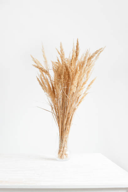istock White room interior with table and vase with dry bouquet. Minimal composition with beige grass, mockup with copy space. 1403939696