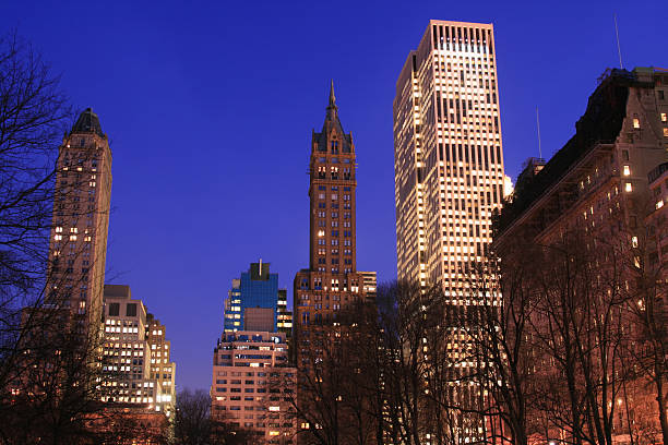 istock Central Park and manhattan skyline at early eve 140394067