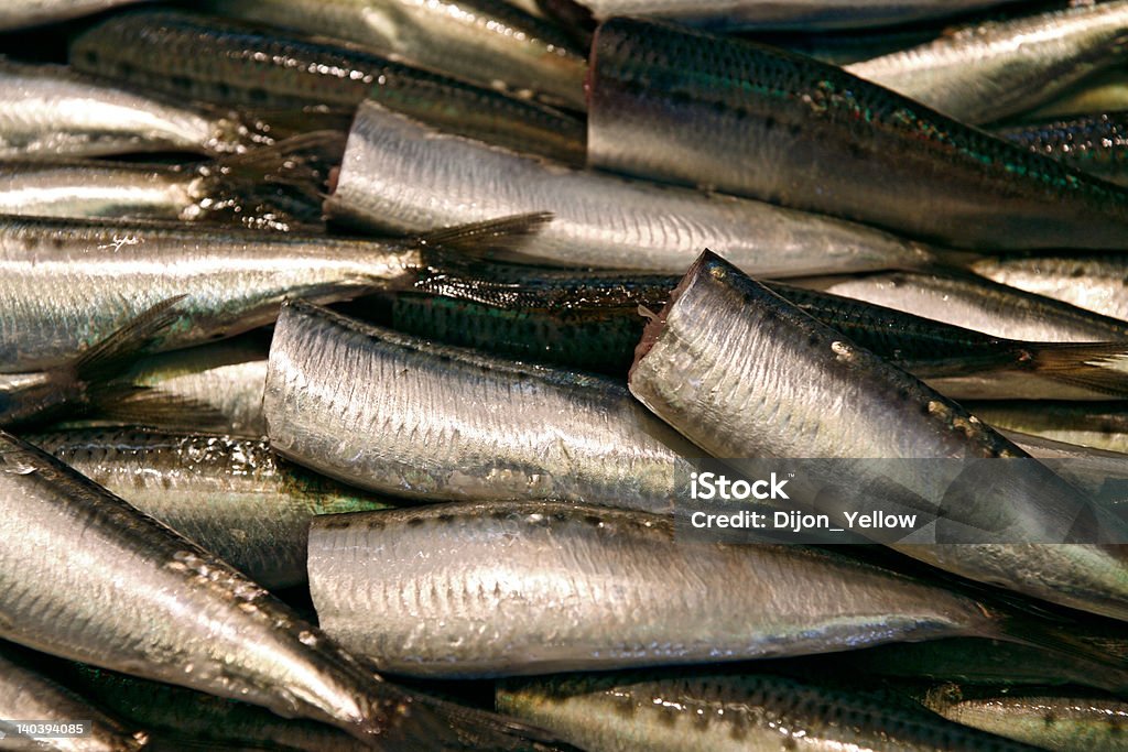 Inutile mackerels - Photo de Aliment libre de droits