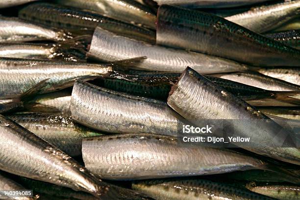 Foto de Cavalas Sem Cabeça e mais fotos de stock de Cavalinha - Peixe de água salgada - Cavalinha - Peixe de água salgada, Cidade de Quioto, Comida