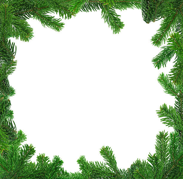 istock xxl image of square spruce twig frame 140394150