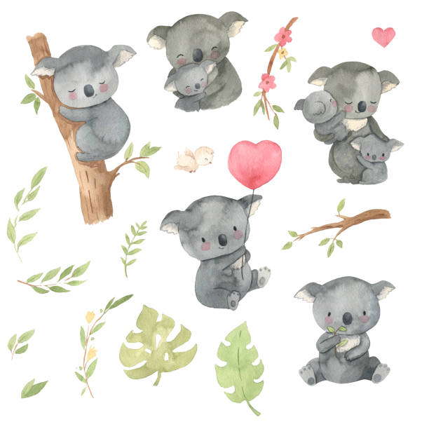 수채화 코알라. 어린이를위한 호주 동물 삽화 - koala australian culture cartoon animal stock illustrations