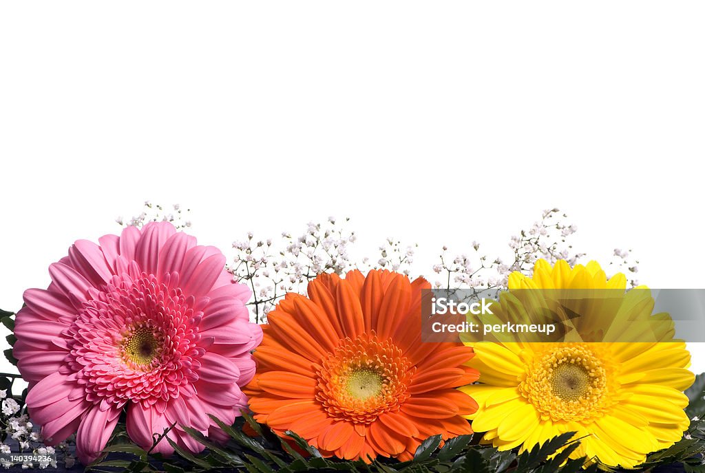 Flores 1 - Foto de stock de Amarelo royalty-free