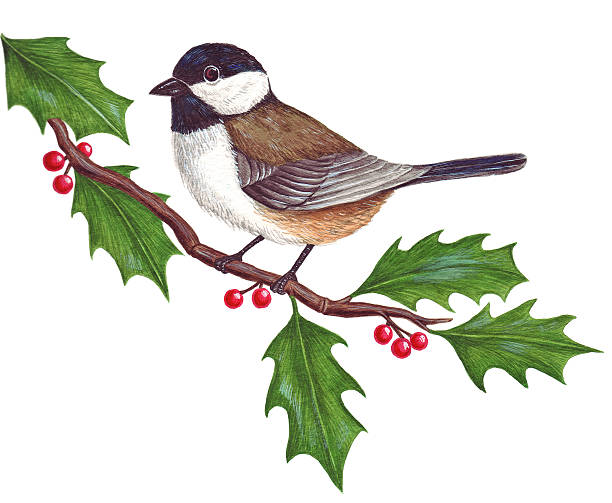 istock Black capped chickadee painting 140394423