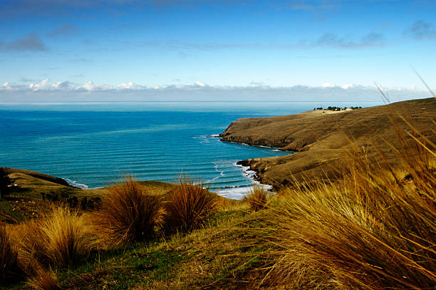 istock New Zealand Coast 140394518