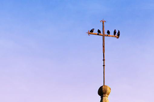 Starlings on cast iron cross at dusk at top of  San Martiño de Mondoñedo romanesque church set in IX century, it is said to be the oldest cathedral in Spain. Foz, A Mariña, Lugo province, Galicia, Spain.