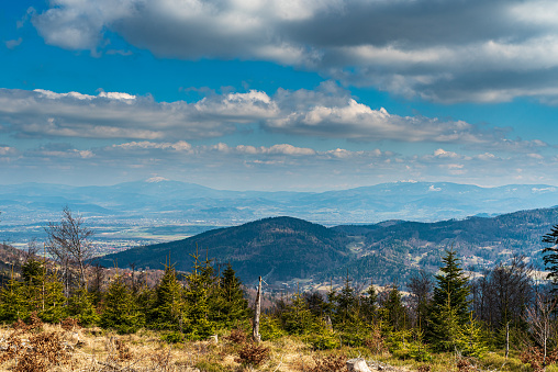 View to Pilsko and Babia Gora from Trzy Kopce hill in Beskid Slaski mountains in Poland during beautiful springtime day