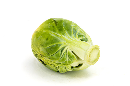 Brussels Sprout isolated in white background, studio lighting, macro detailing, ample copy space / negative space for copy.