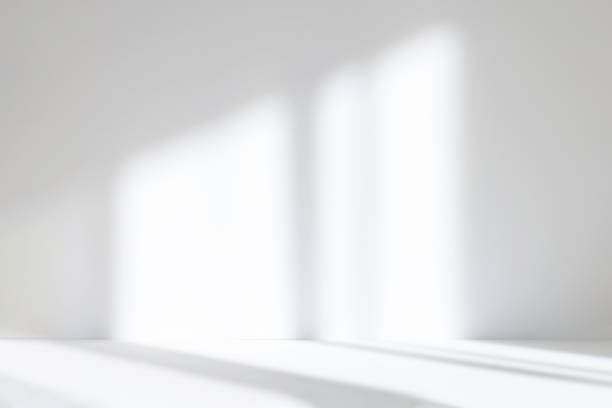 istock Abstract white studio background for product presentation. Empty room with shadows of window. Display product with blurred backdrop. 1403949084