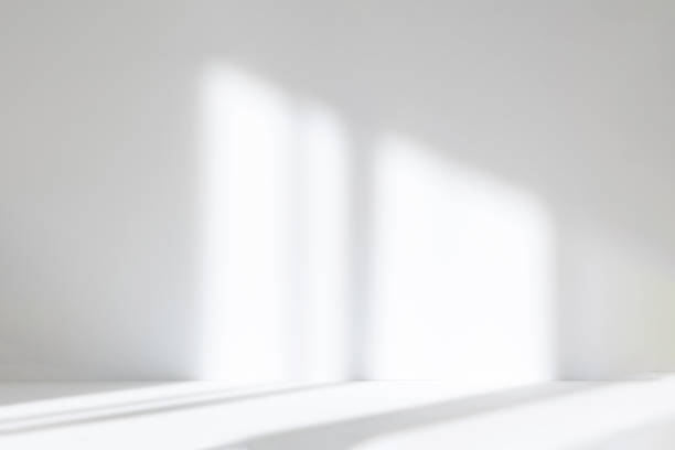 istock Abstract white studio background for product presentation. Empty room with shadows of window. Display product with blurred backdrop. 1403949086