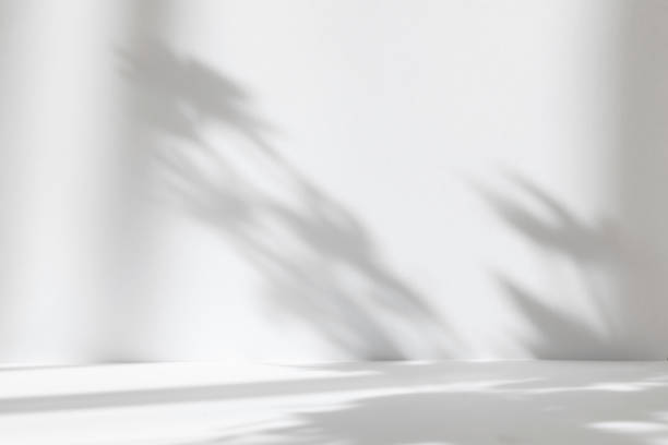 istock Abstract white studio background for product presentation. Empty room with shadows of window and flowers and palm leaves . 3d room with copy space. Summer concert. Blurred backdrop. 1403949556