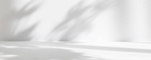 istock Abstract white studio background for product presentation. Empty room with shadows of window and flowers and palm leaves . 3d room with copy space. Summer concert. Blurred backdrop. Banner 1403949558