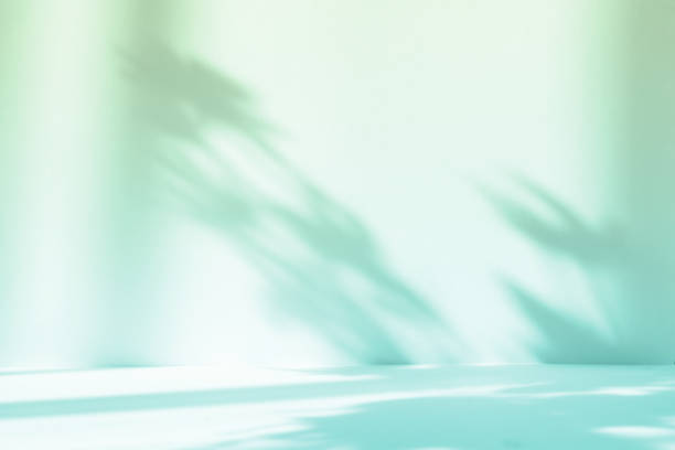 istock Abstract gradient green studio background for product presentation. Empty room with shadows of window and flowers and palm leaves . 3d room with copy space. Summer concert. Blurred backdrop. 1403949564