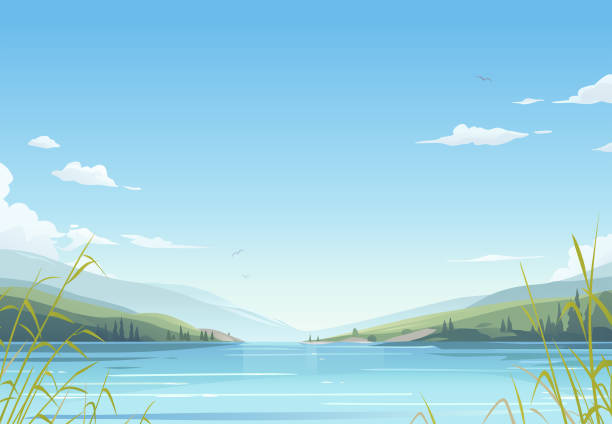 Tranquil Lake Vector illustration of a beautiful lake under a bright blue sky surrounded by hills, trees and mountains. lake water stock illustrations